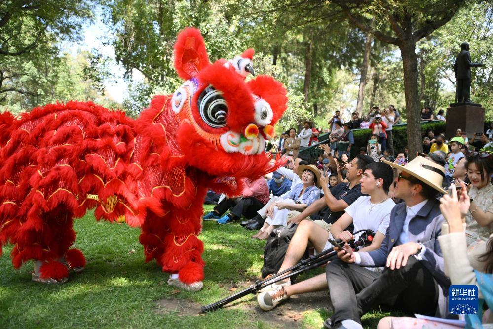 大发怎么才能赢钱